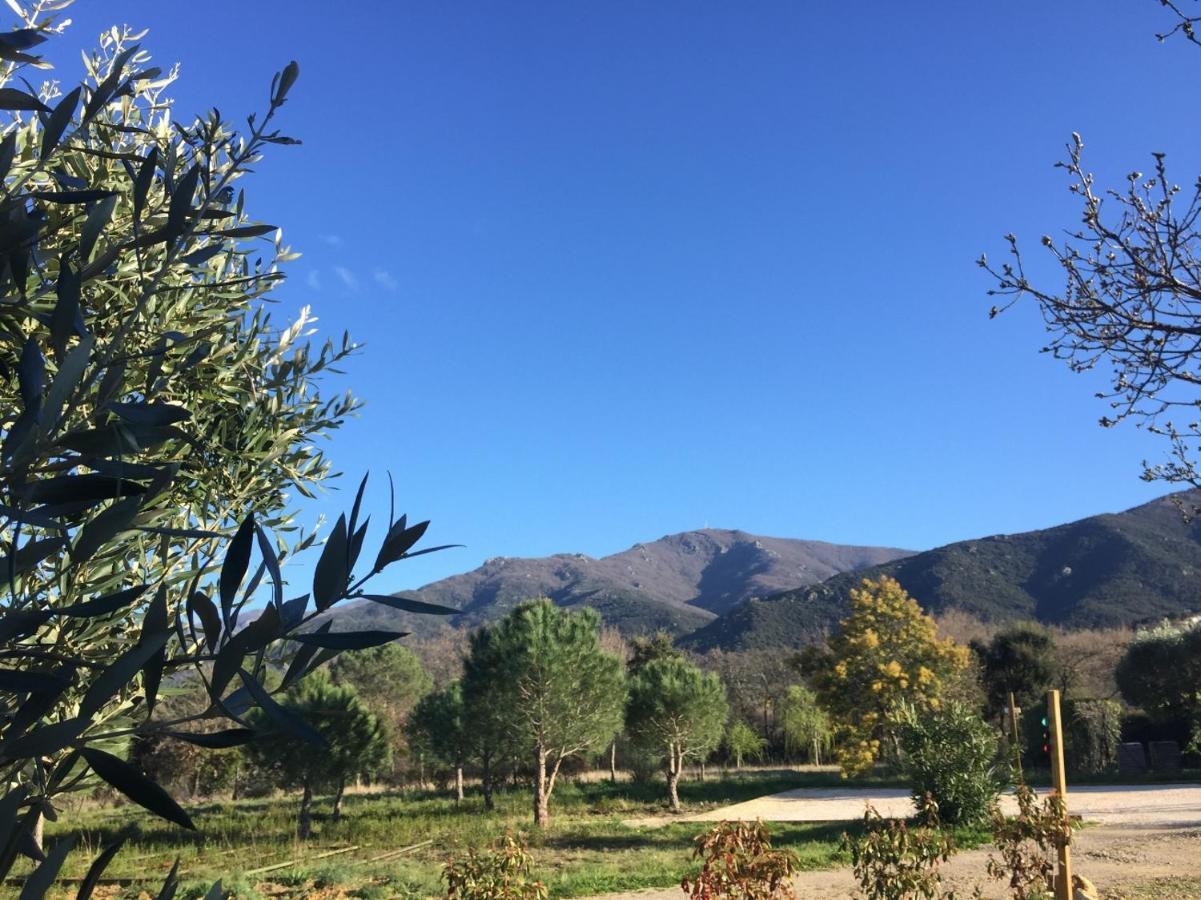 Domaine Pedra Llampada Gites Montagne Villelongue-dels-Monts Екстер'єр фото