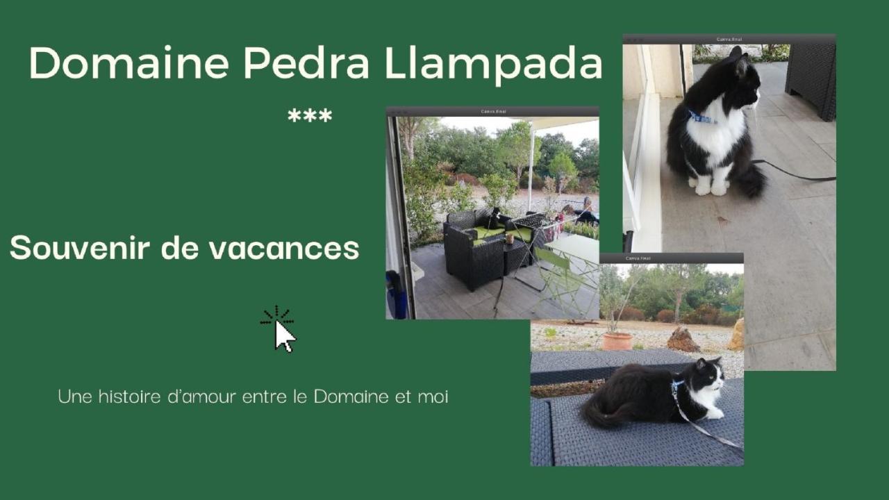 Domaine Pedra Llampada Gites Montagne Villelongue-dels-Monts Екстер'єр фото
