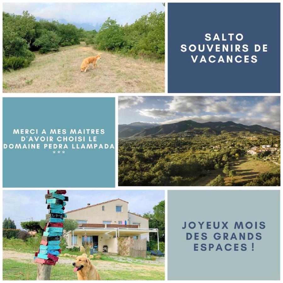 Domaine Pedra Llampada Gites Montagne Villelongue-dels-Monts Екстер'єр фото